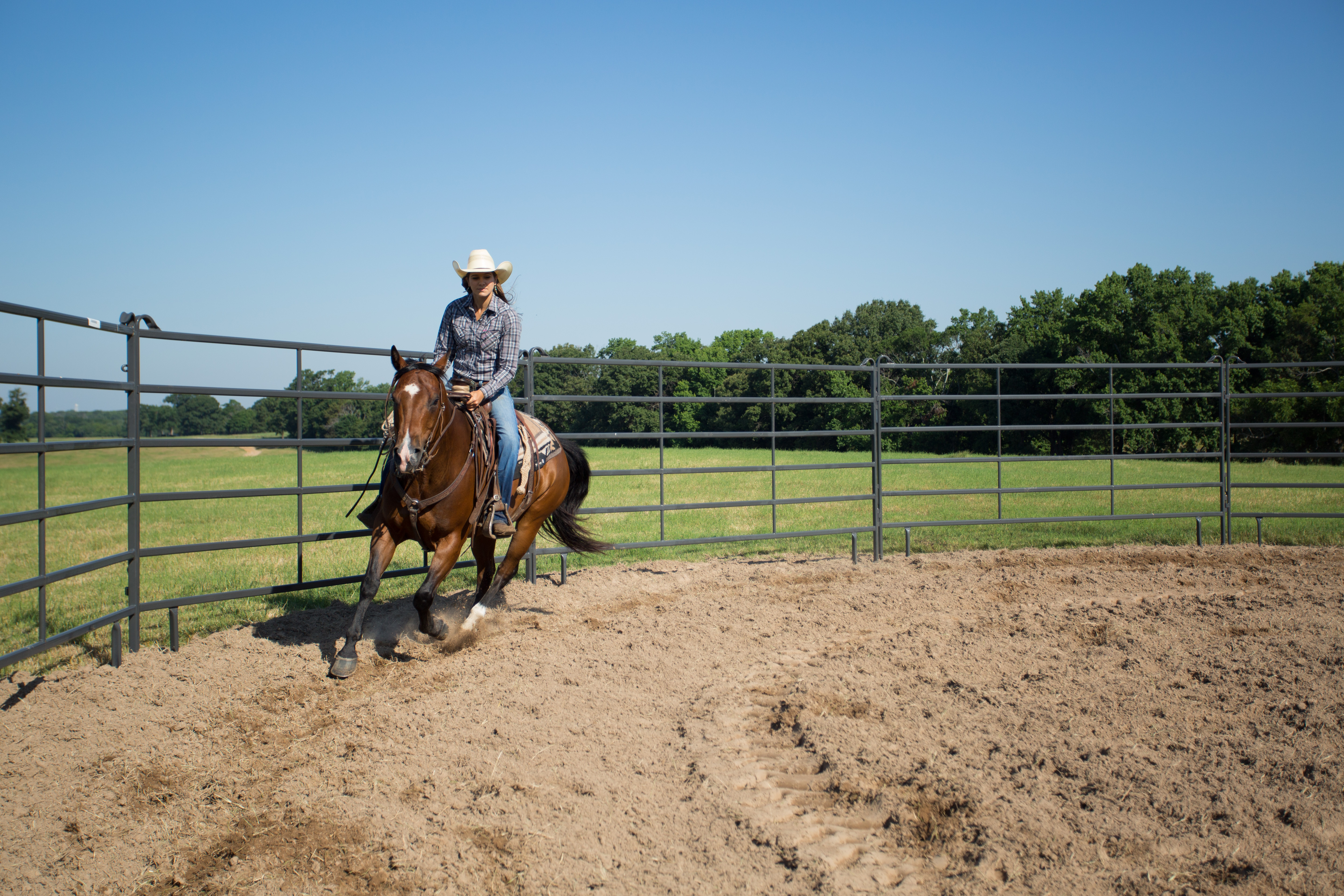 Premier Tall Round Pen PPT50 72.jpg